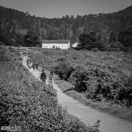 Ano-Nuevo-2016-2016-05-01-260