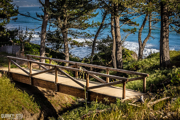 Ano-Nuevo-2016-2016-05-01-1257