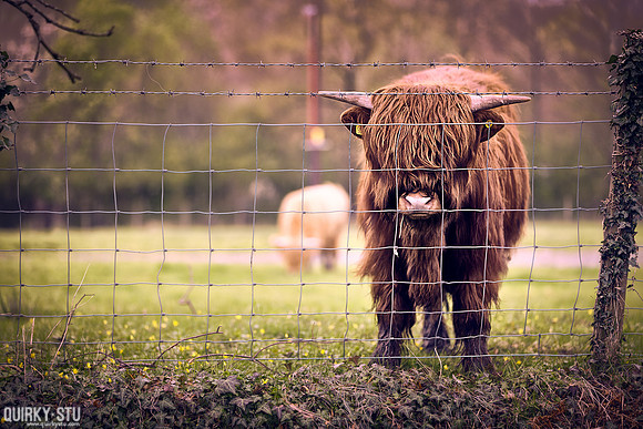 Scotland-Trip-20170415-739-EL-2