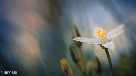 Kew-Gardens-20170412-098-EL