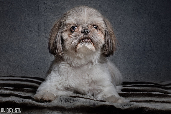 Coco-20180728-0072-EL-F