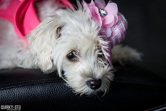 Tricia-Pearla-20161003-0016